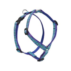 to-Adjust Dog Harness for Medium Canines, 3/4 Inch Wide Jacquard