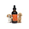 to-Apply Hemp Oil for Dogs with Arthritis, Allergies, and Aches