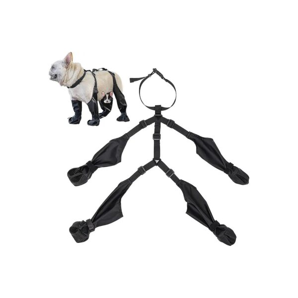 to-Back Design for Easy Wear and Removal for Large Medium Dogs