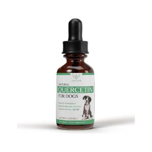 to-Use Liquid Quercetin for Dogs - Allergy Relief and Immune Support