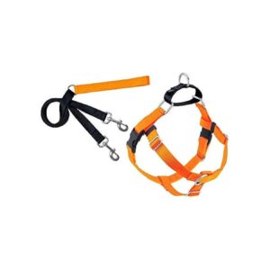 to-Use No-Pull Dog Harness Training Package Large Neon Orange for Trainers and Pet Owners