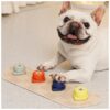 to-Use Recordable Dog Buttons with Mat and Training Manual for Pet Owners